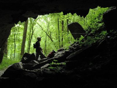 A silhouette of a person in front of green trees viewed from the inside of a cave.