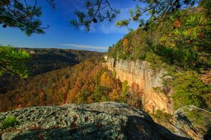 View of Savage Gulf State Park during the fall.