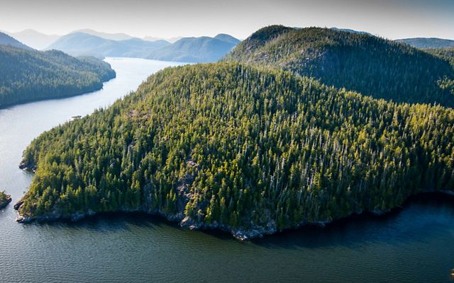 Clayoquot Sound, Vancouver Island.