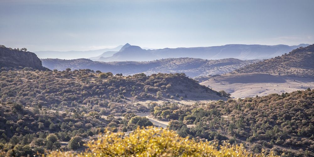 Landscape view of rolling hills covered with scrub and trees.