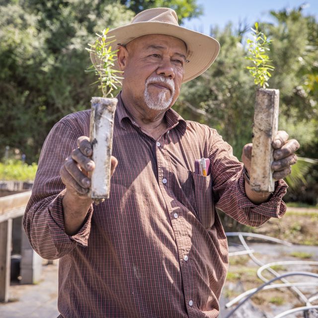 Marcos Ruiz holds up two Montezuma cypress seedlings.