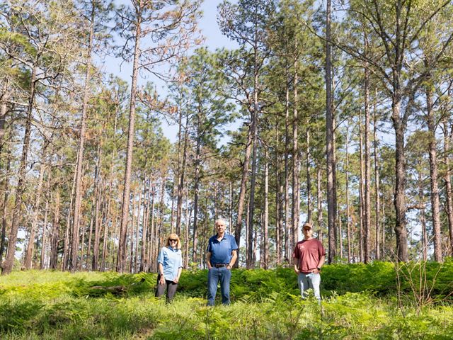 Three people stand in a field with tall, green trees towering in the background.