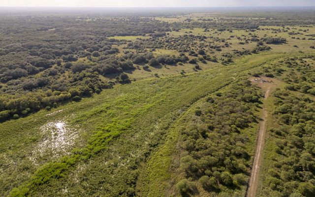 Aerial image showing an expansive green landscape with marsh habitat, brush and a dirt road.