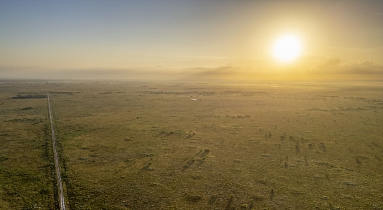 Aerial view of a flat, open green landscape at sunrise with a dirt road running diagonally across the scene as warm golden light casts long shadows under a mostly clear sky.