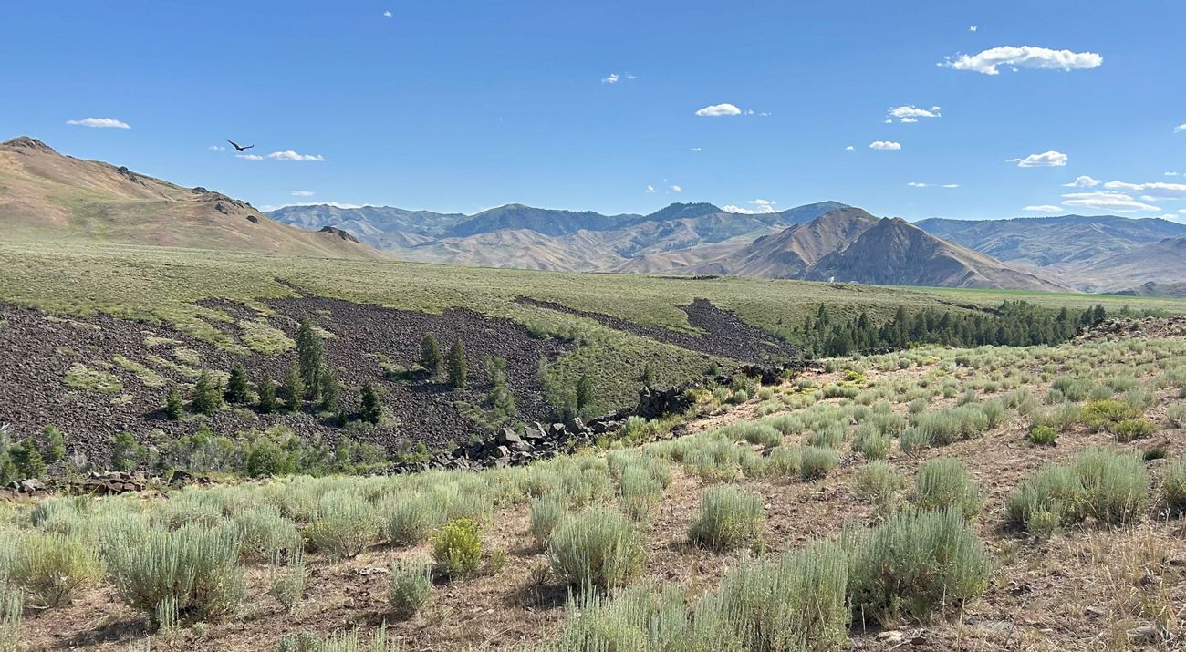 Landscape view with sagebrush in the foreground, lava rocks in the middle and mountains in the background.