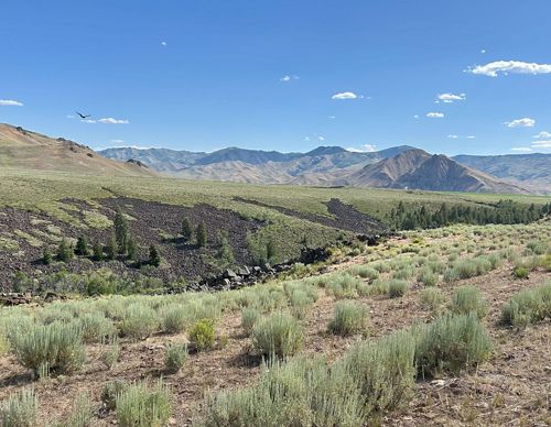 Landscape view with sagebrush in the foreground, lava rocks in the middle and mountains in the background.