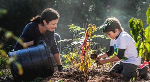 a woman and young boy kneeling on the ground planting a tree.