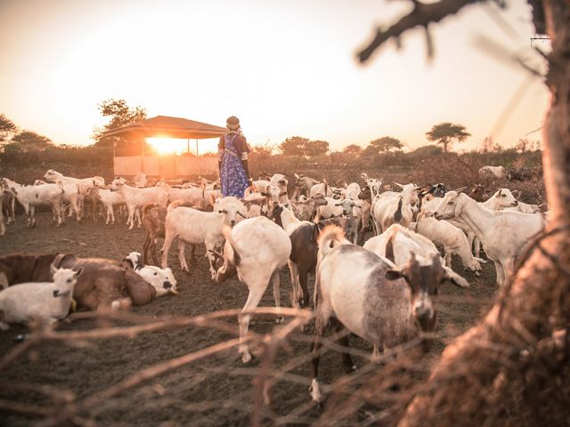 An elderly Maasai women counts goats as they return from the bush.