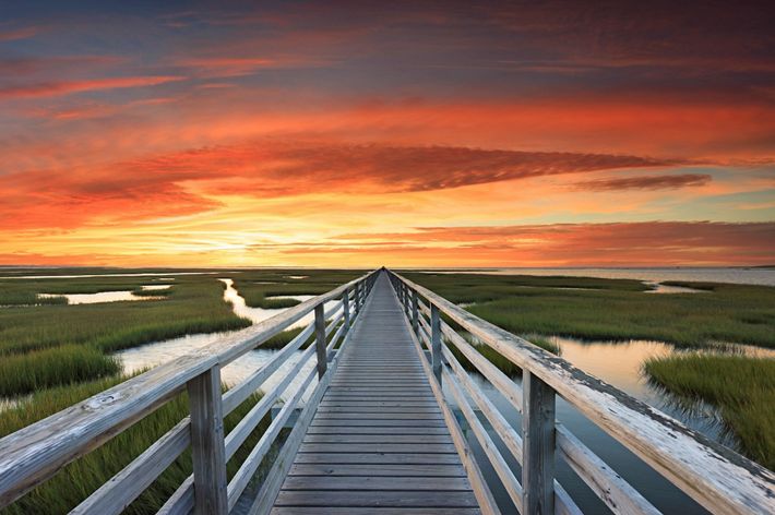A wooden boardwalk stretches to the horizon through an open marsh of low grasses and shallow channels. The sky is streaked with orange and yellow by the setting sun.