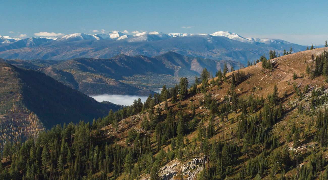 A rocky slope with clumps of evergreen trees, with a lake and a broad, snowy mountain range in the distance.