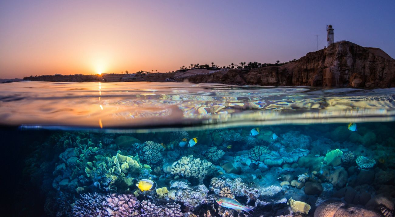 View of sunset and coral reef in Egypt.