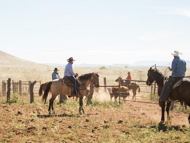 Ranch hands gather to prepare a calf for branding