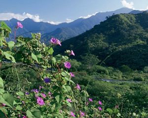 A river flows off the Sierra Madre in Chiapas, Mexico.