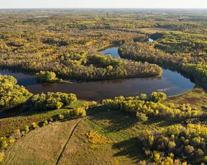 A river winds through a thick forest.
