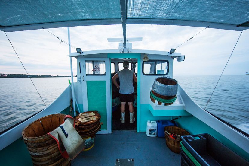 A man stand in the wheelhouse of a small boat. His back is to the camera. Large bushel baskets are stacked behind him on the deck. The still water of the Chesapeake Bay stretches out to the horizon.