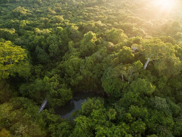 Aerial views of the hardwood forest around the logging community of Noh Bec, Quintana Roo. 
