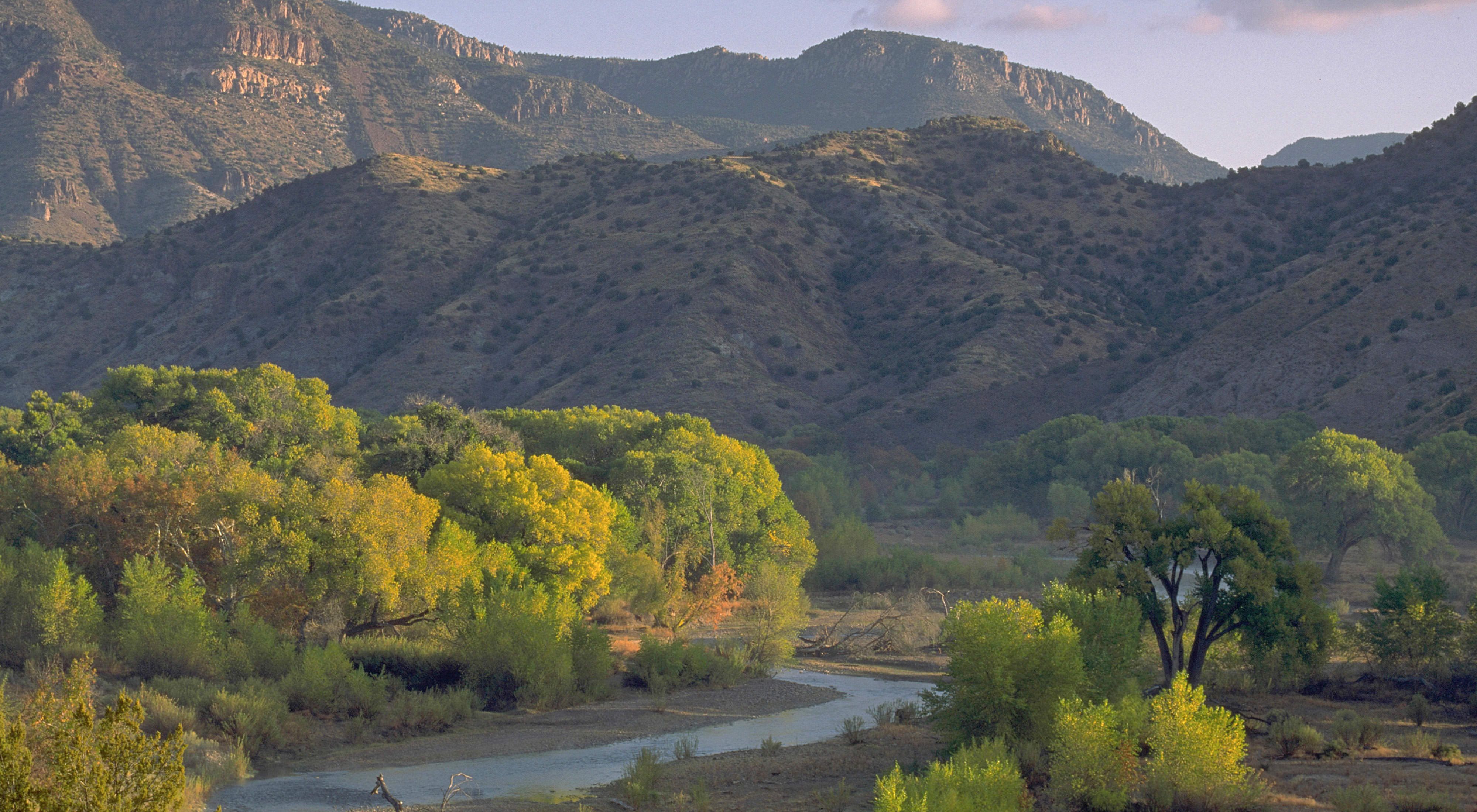 New Mexico Gila River