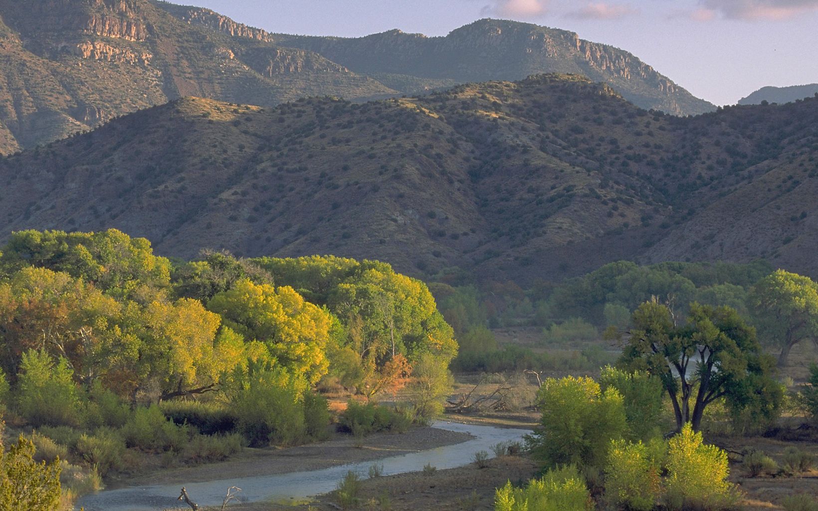 Fall colors along the Gila River with hills in the background.
