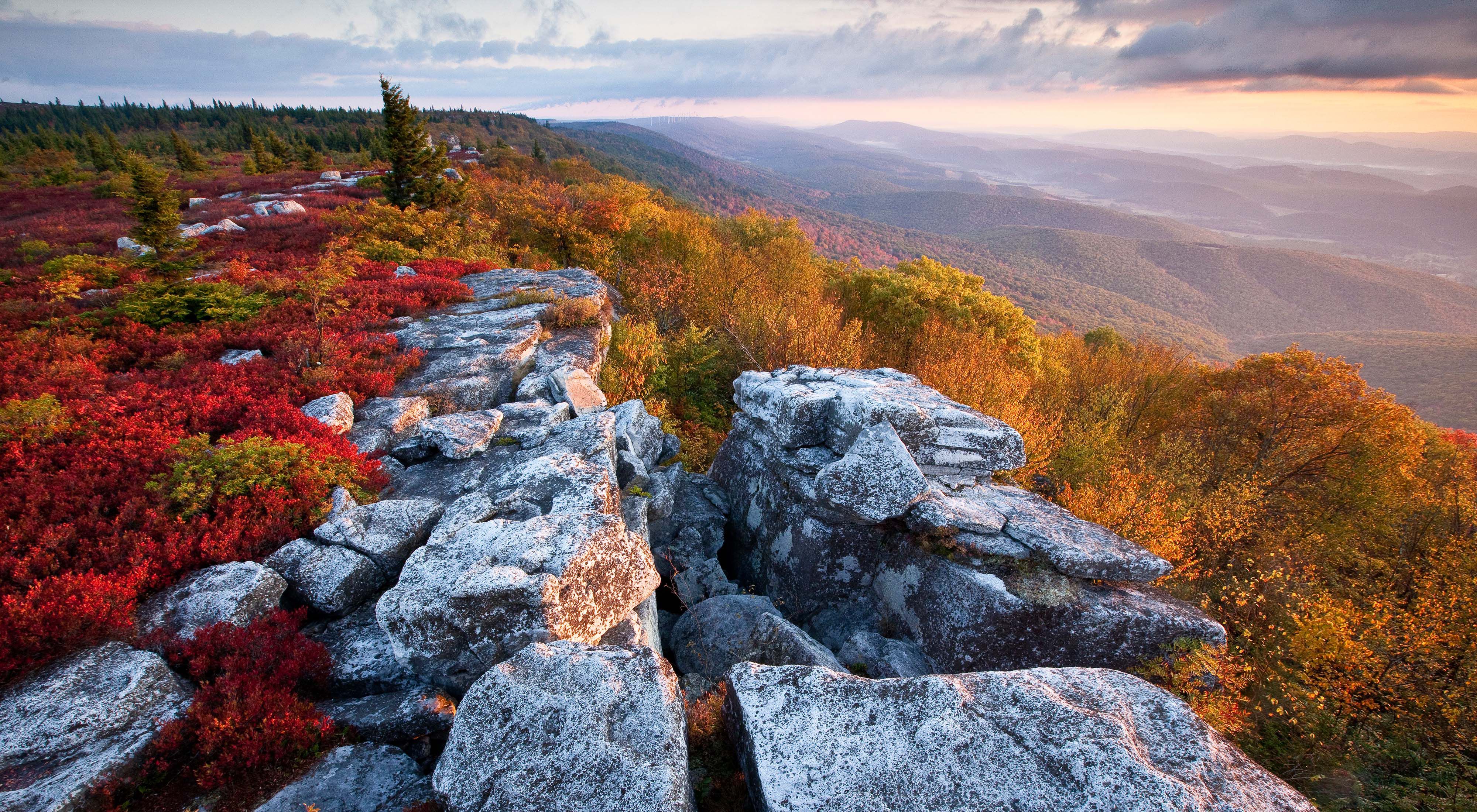 Autumn color atop a rocky mountain ridge in West Virginia.