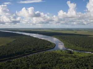 The Rio Curipí meets the Rio Uaçá in the Amazon.