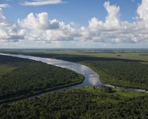 Imagem aérea de aldeia indígena no Oiapoque, Amapá.