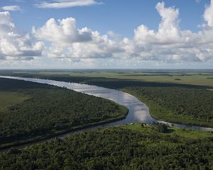 The Rio Curipí meets the Rio Uaçá on its way to the Atlantic Ocean, in the Oiapoque indigenous region of the Brazilian Amazon. The Nature Conservancy has been partnering with local indigenous communities in Oiapoque since 2001 to demonstrate how indigenous people can manage their lands reconciling biodiversity conservation with their economic, social and cultural needs.