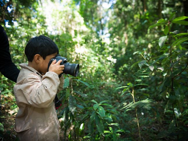 A school boy from Chaihuin Village school uses a camera to take pictures of different plants as part of a forest ecology field trip into the Valdivian Coastal Reserve.