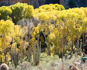 Aravaipa Canyon Preserve.
