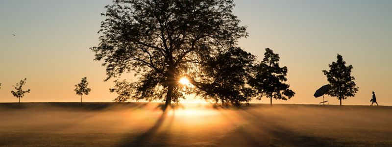 Fog rises from the ground at sunrise in Chicago's Lincoln Park. Trees line the top of an embankment, and a person walks along the edge of the embankment.