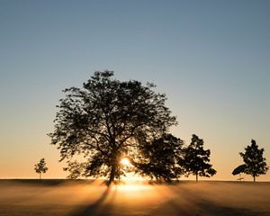 The sun rises in fog over Chicago's Lake Michigan shoreline.