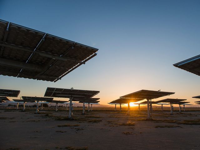 Solar panels in a large field at sunset.