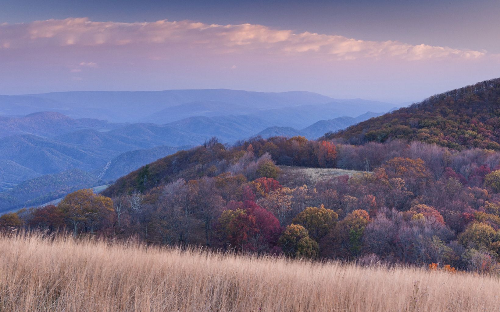 Trees showing late fall color blanket a mountain top. Rolling mountain ridges extend into the horizon. 