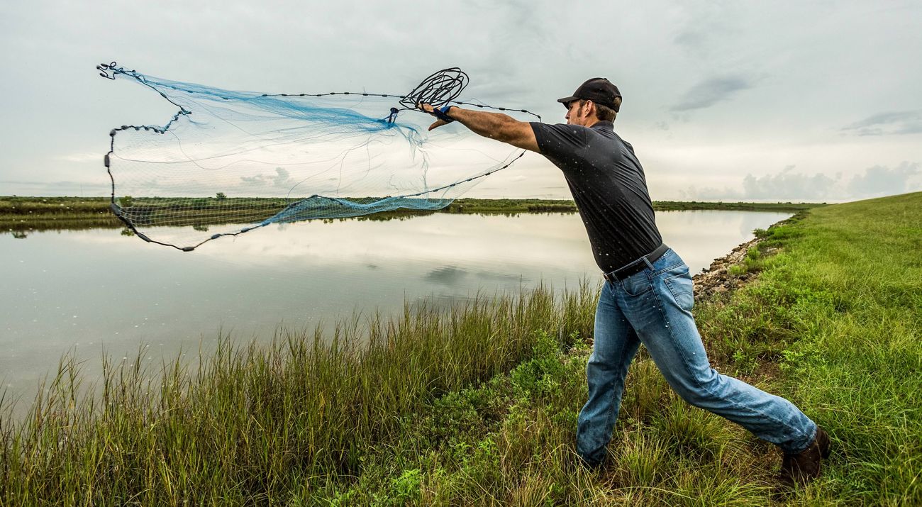 A man tosses a fishing net into coastal waters.
