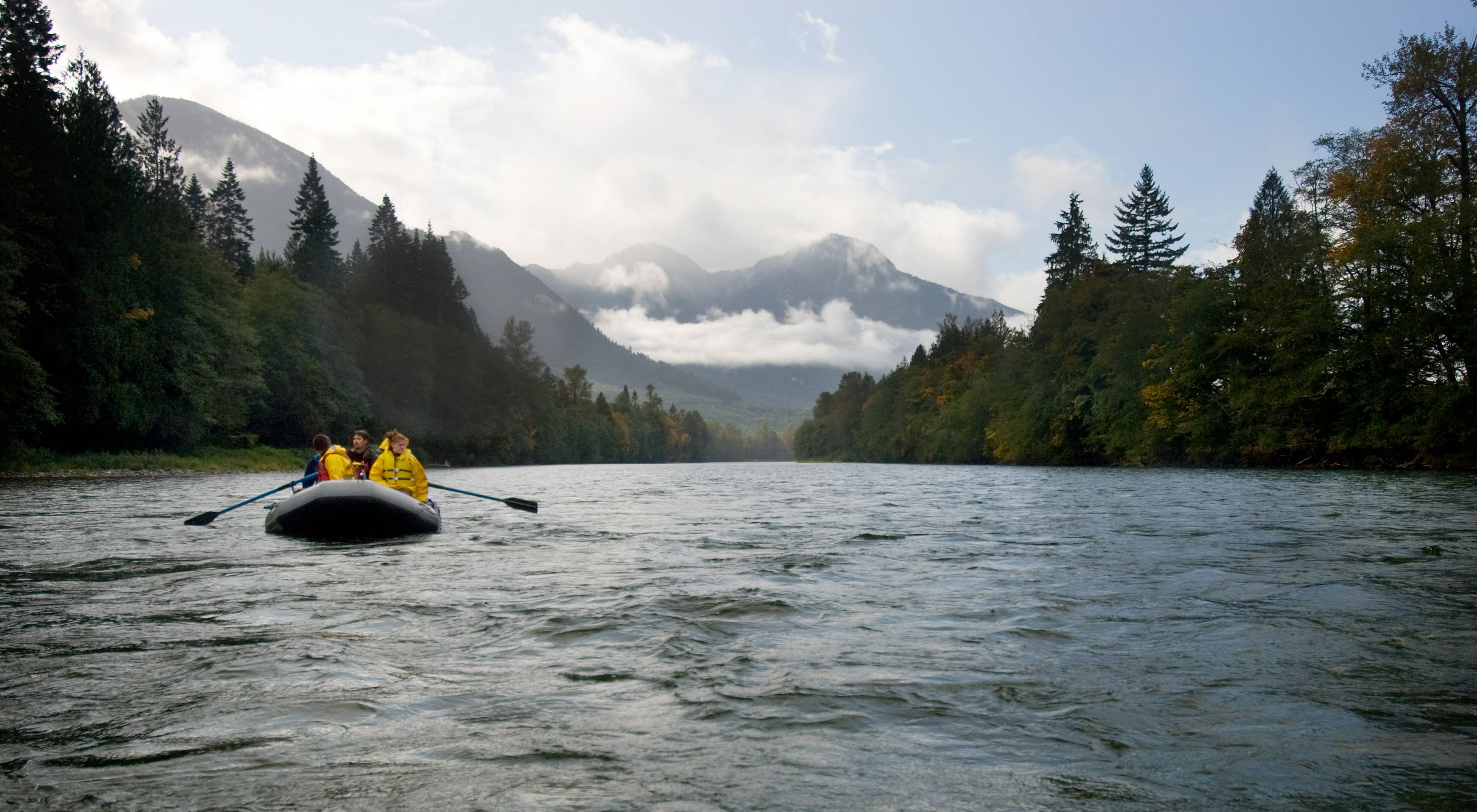 In the Skagit River in search of invasive plant locations that can reduce the diversity of aquatic insects which are vital to the health of Salmon.