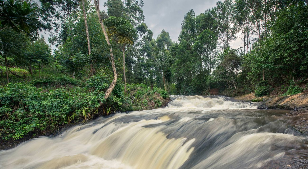 Water rushes over a short waterfall in the midst of a forest on Tana River, Nairobi.