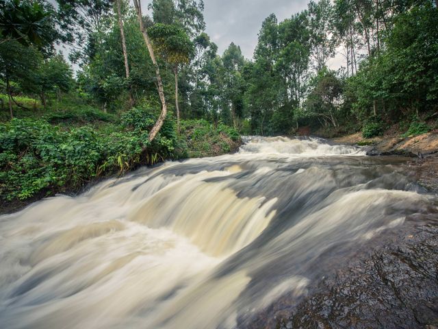 A new water fund that finances conservation projects in Nairobi will protect water supplies for 9 million people.