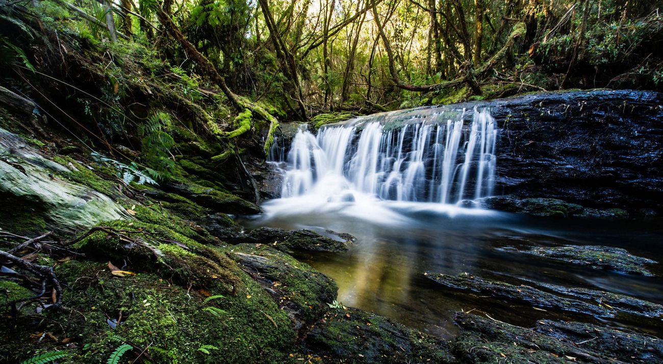 Upper reaches of the Chaihuin River in the Alerce Coastal National Park, Los Rios, Chile