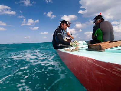 Lobster fishermen collect live lobsters in Ascencion Bay off the coast of the Sian Ka’an Biosphere Reserve in Quintana Roo, Mexico.