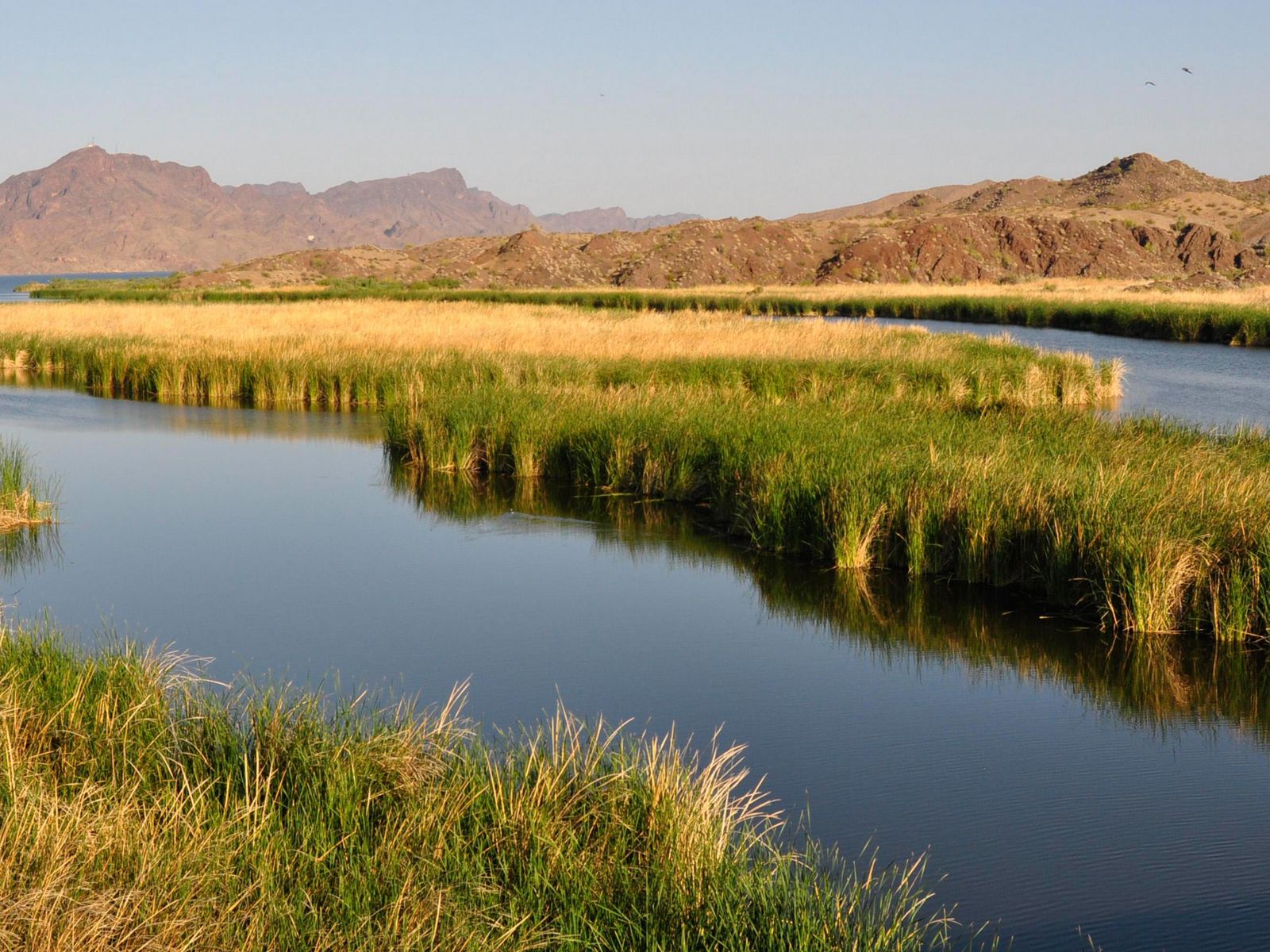 5 Conservation Projects That Are Focused on Long-Term Success