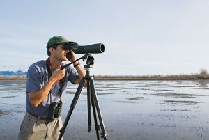 A man standing in a flooded farm field looking through a large spotting scope.