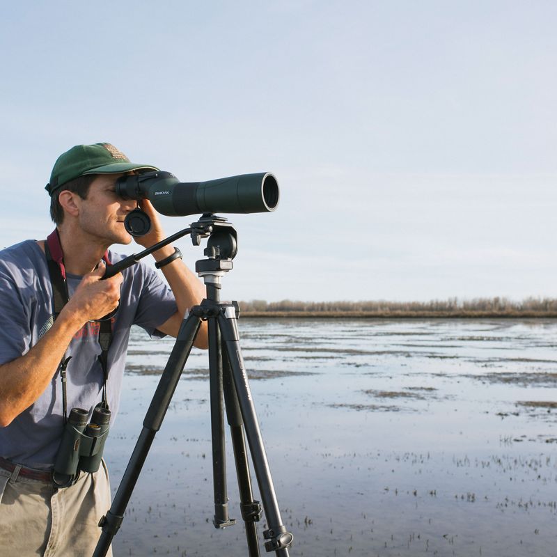 TNC ecologist Greg Golet looks through a spotting scope to monitor participating rice fields near Colusa in California's Sacramento Valley.