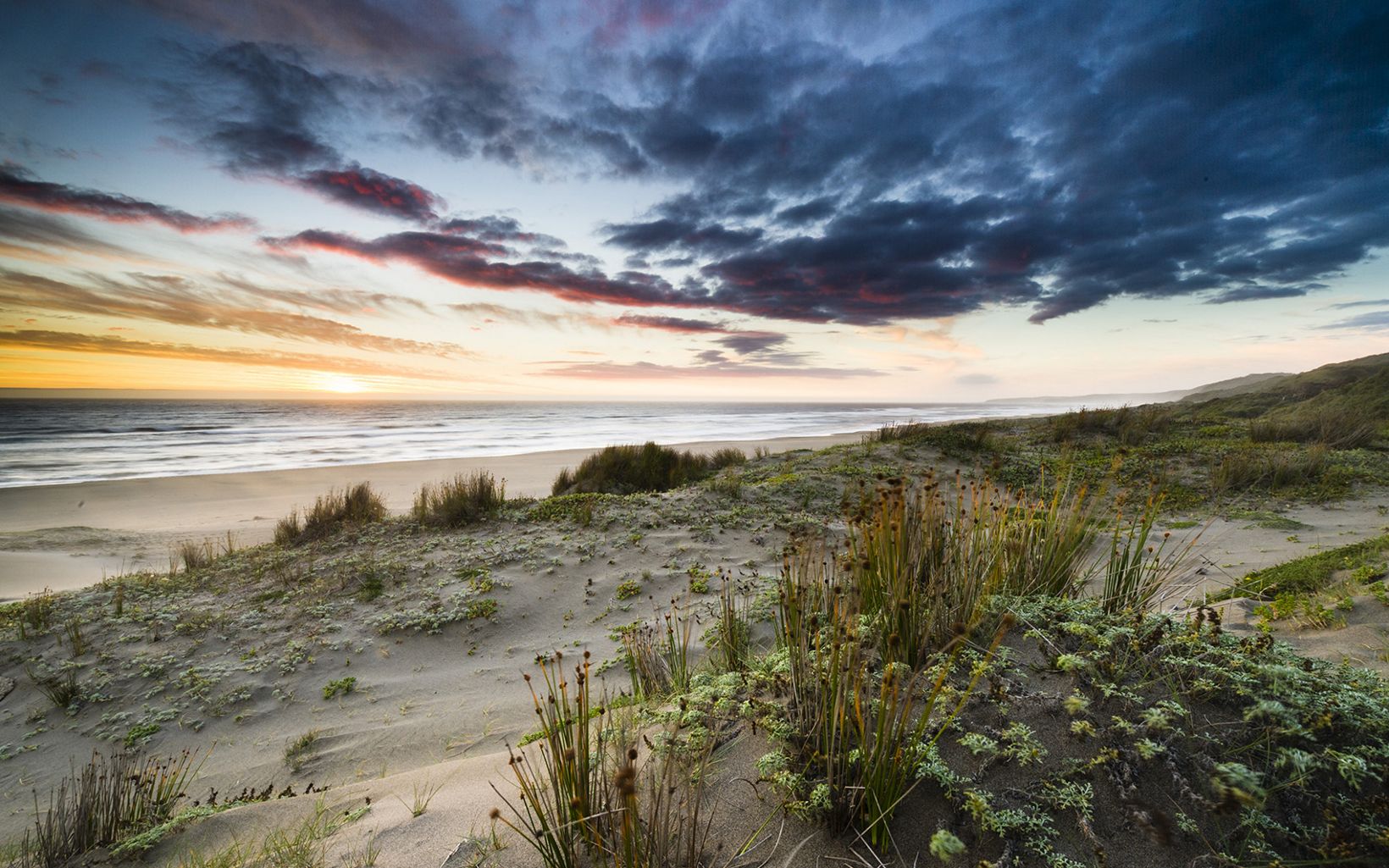 
                
                   Colun Beach Sand dunes on Colun Beach in the Valdivian Coastal Reserve, Los Rios, Chile
                  © Nick Hall
                
              