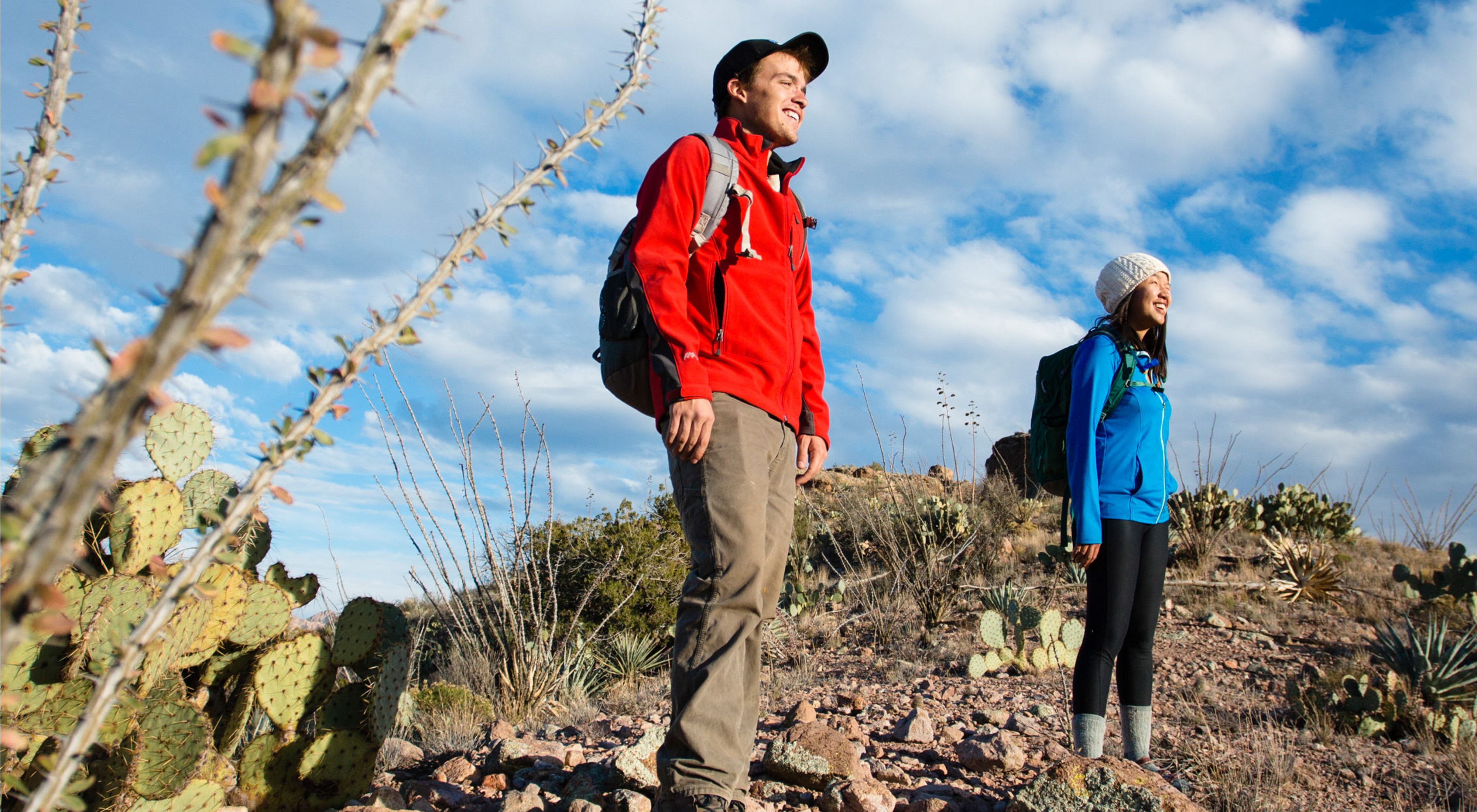 Two hikers stand near cactus in a desert preserve.
