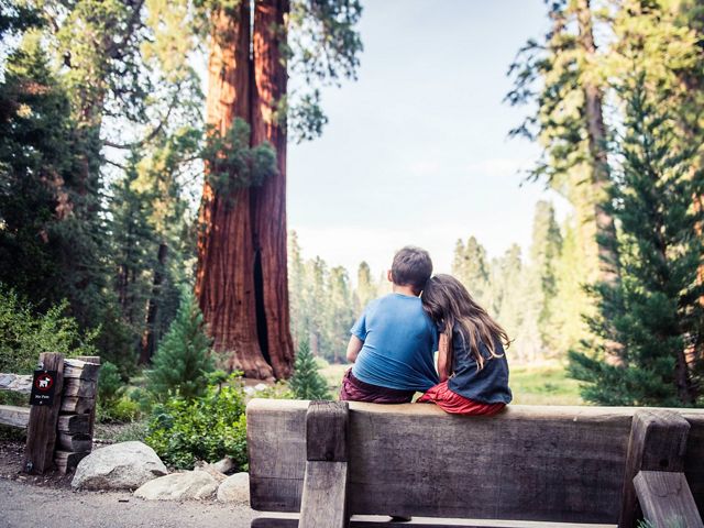 Sequoia National Park