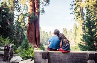 two children sitting on a log bench in a forest with their backs turned to us.