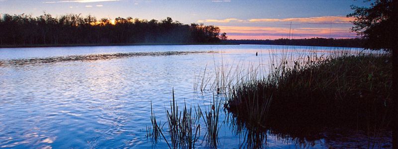 Deep blue water reflects a pink sky as the sun rises over the Nanticoke River.