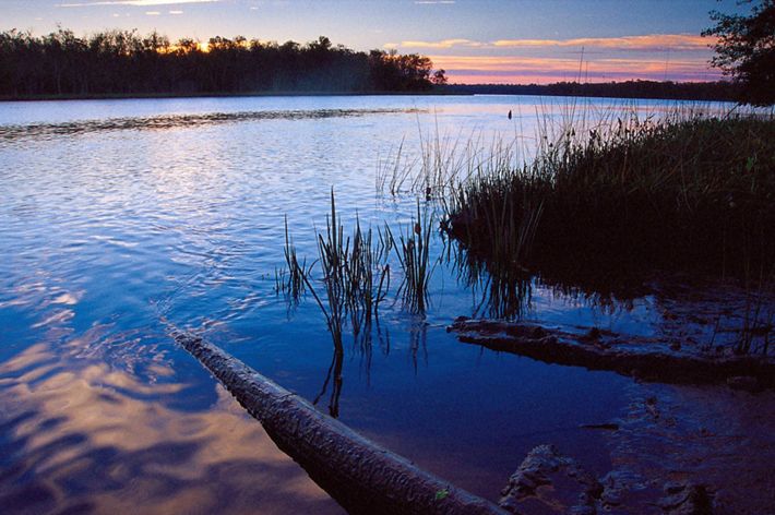 The wide, flat channel of the Nanticoke River flows to the horizon before bending away out of side. The clouds are streak pink and orange as the sun begins to rise.