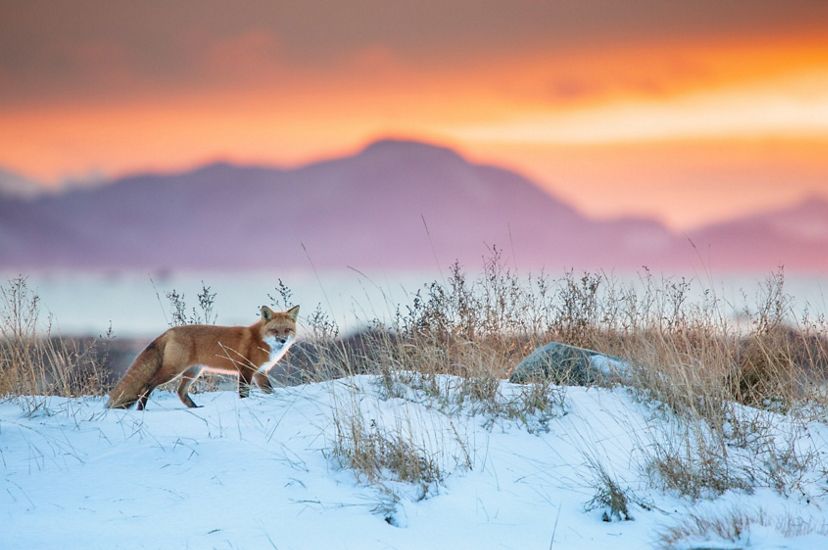 The Beauty of Winter  The Nature Conservancy