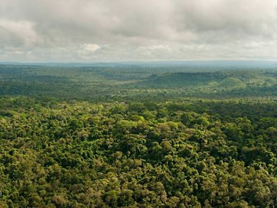 A municipality in the Brazilian Amazon.