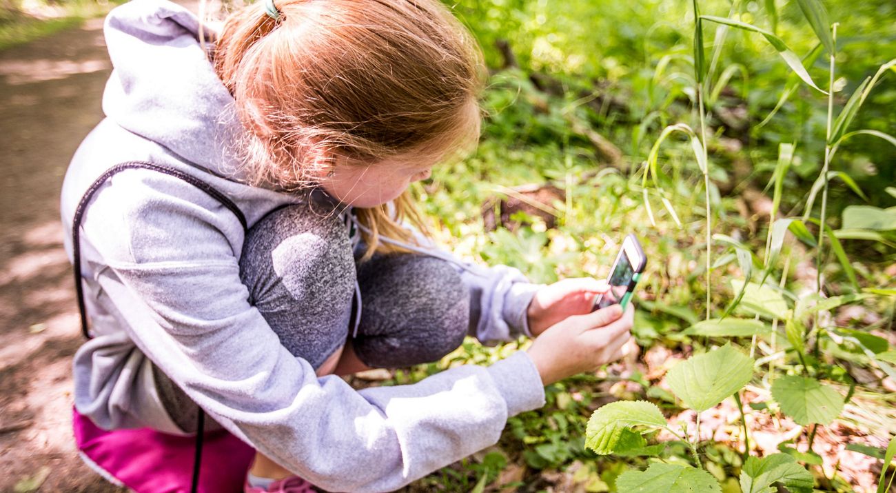 A young girl crouches down next to a tall leafy plant to take a photo with her cell phone.